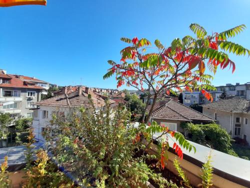 Guest House Diel