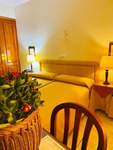 Hostal León - Alcollarín