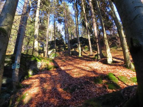 Ferienwohnungen Breternitz in Steinach, Deutschland