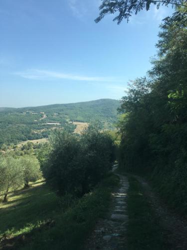 Villa San Regolino whit private pool