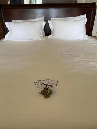 Ardmor Guest House