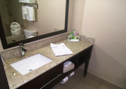 Holiday Inn Express Hotel & Suites Orange City - Deltona, an IHG Hotel