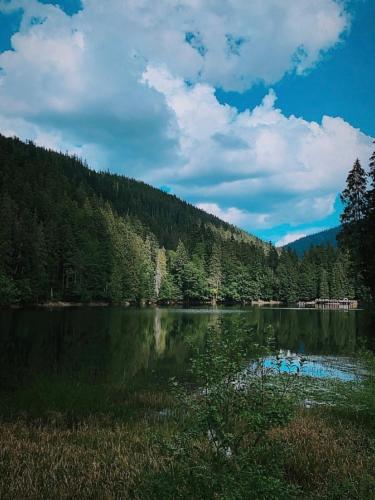 Chalet Borzhava - image 3
