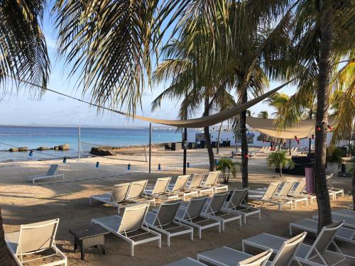 Van der Valk Plaza Beach & Dive Resort Bonaire in Πλάγια