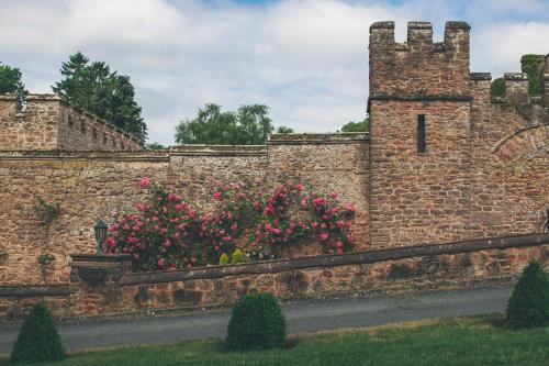 Rowton Castle - image 14
