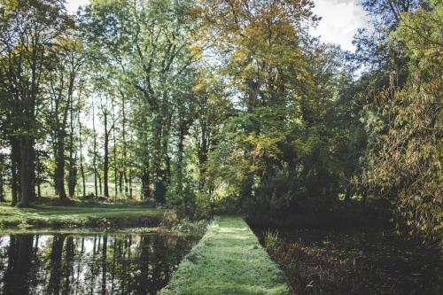 Rowton Castle - image 2