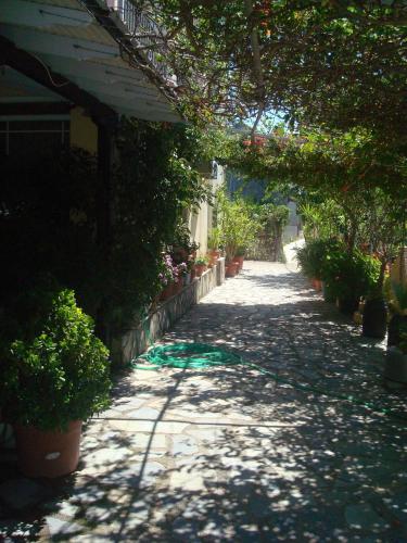 Polyxenis Rooms Polyxenis Rooms