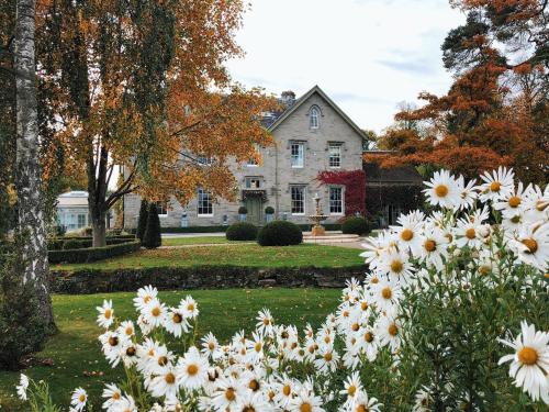Lemore Estate - image 2