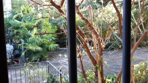 Vedere, B&B Le Muse in Trento