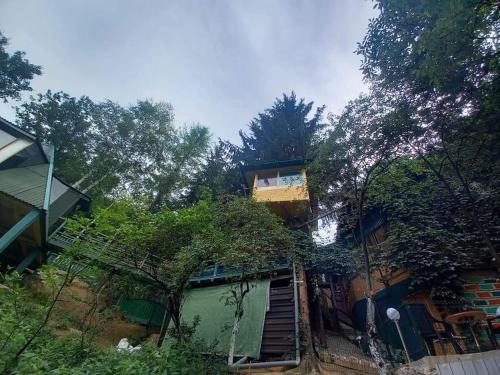 tree house in Visoko