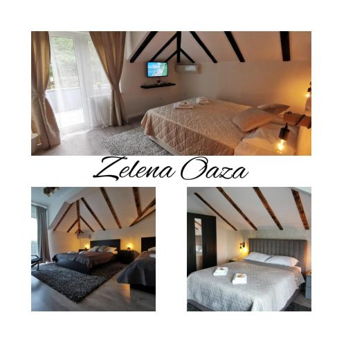 B&B Golubac - ZELENA OAZA - kuca za odmor - Bed and Breakfast Golubac