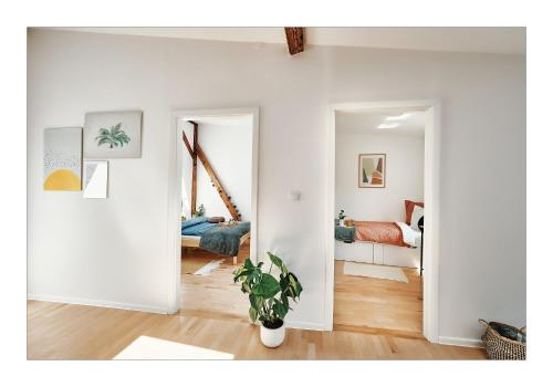 Sunny Apartment at the Heart of Old Town, Cracovie (photo 3)