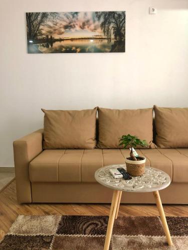 One-Bedroom Apartment image 5