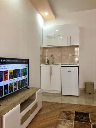 One-Bedroom Apartment image 10