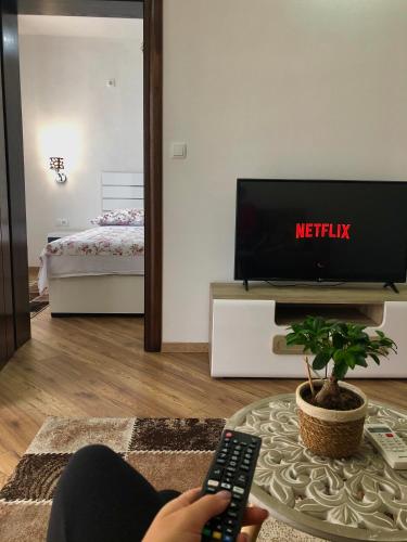 One-Bedroom Apartment image 9