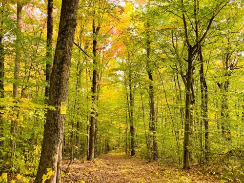 Arcady Mountain Motor Lodge – Arlington, VT