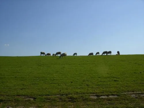 Ferienhaus am Nordseedeich in Alleinlage in Hooksiel, Deutschland