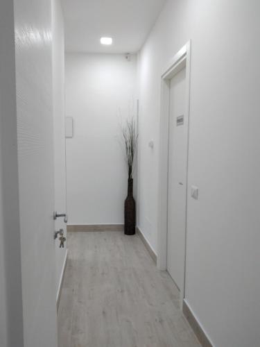 Létesítmények, New Era Rooms near Pio Monte della Misericordia