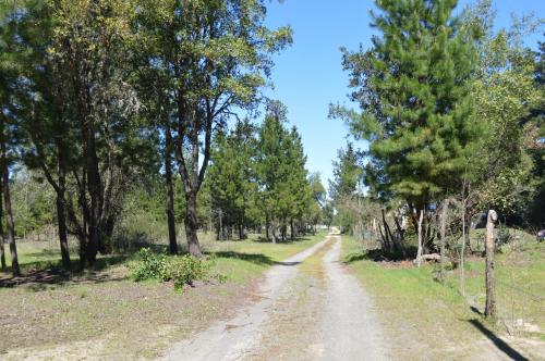 Coyunche Cabañas y Camping Laja & San Rosendo