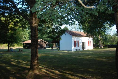 La quiétude au bout de ce chemin est à découvrir gîte à louer Mont-de-Marsan