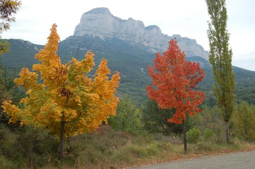 周邊環境, Apartamentos Borda Falceto in 托烏莫里約
