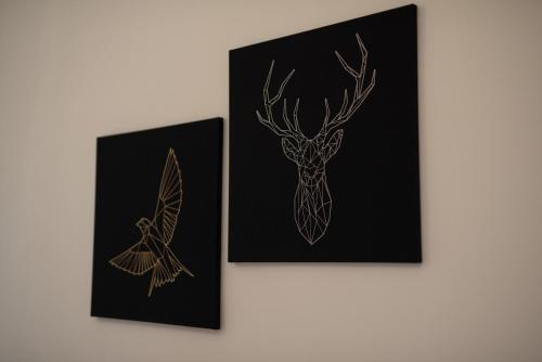 Vicolo del Cinque Apartment Trastevere, Řím (fotografie 5)