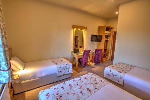The Lucan Spa Hotel - image 4