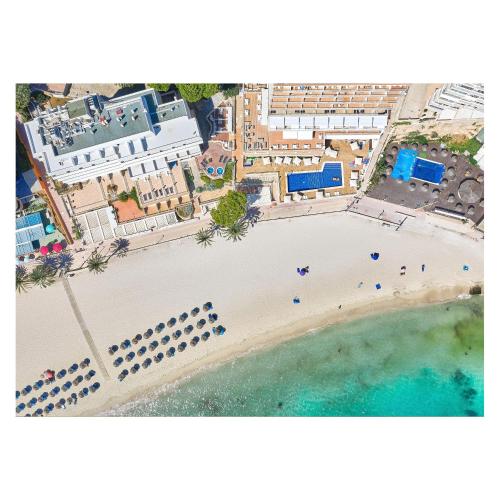 ホテル フランボヤン カリベ