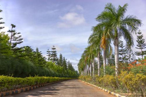 VAMA Retreats in Shivajinagar