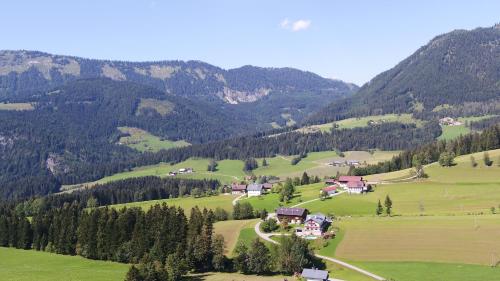  Biohof Haus Wieser in Abtenau