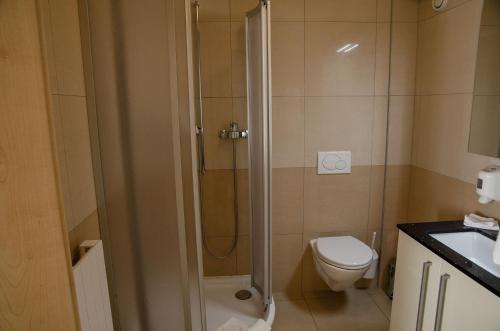 Hotel du Faucon - image 3
