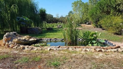 Photo - Agriturismo La Barca In Secca