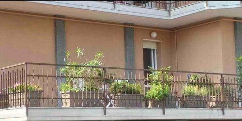 Sesto Calende Centro