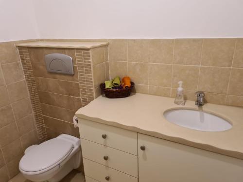 נוף הרים Mountain View, Neve Daniel (fotografie 10)