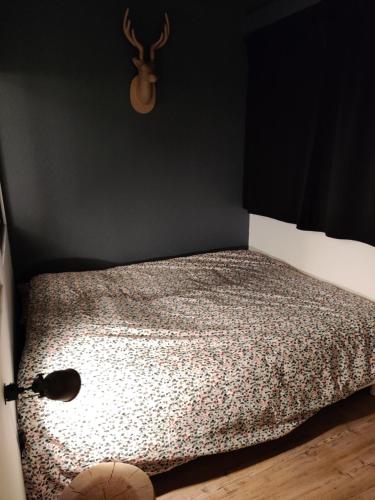 Appartement cocooning au centre, Vosges
