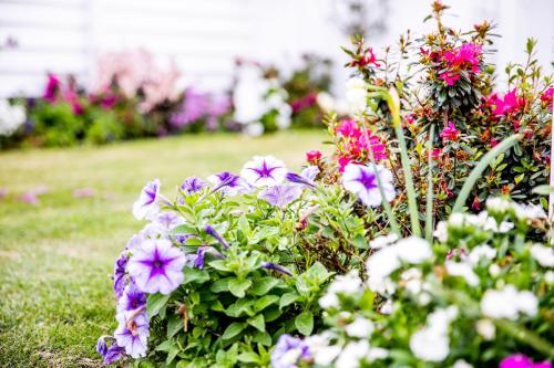 Canungra Cottages - Boutique Bed and Breakfast