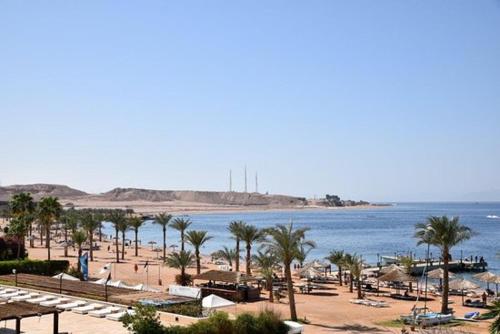 1 bedroom apartment Tala bay