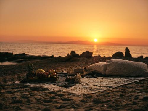 Cavo Orient Beach Hotel & Suites - image 5