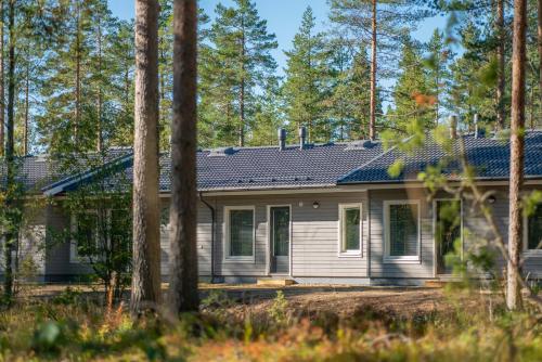 Saimaa LIGHT, Imatra (fotografie 8)