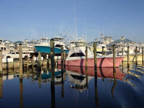 Bayfront Condo with Private Balcony & Sweeping Views condo - image 6