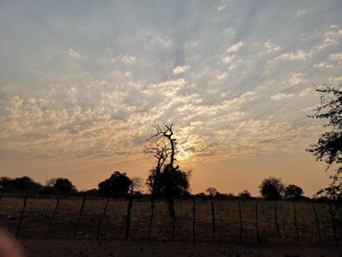 Nthakeni Bush & River Camp