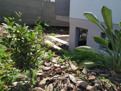 Albergaria da Tomásia - image 12