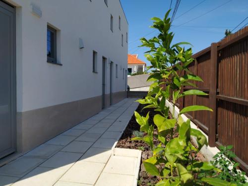 Albergaria da Tomásia - image 4