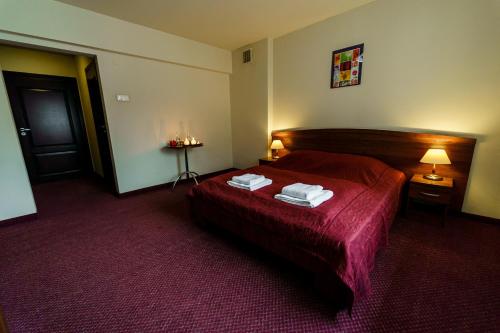 . Hotel Pod Borem