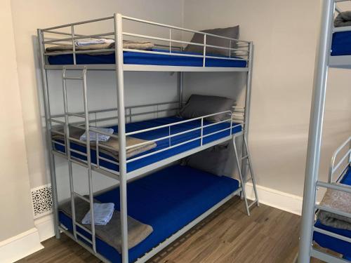 Bunk Bed in Mixed Dormitory Room