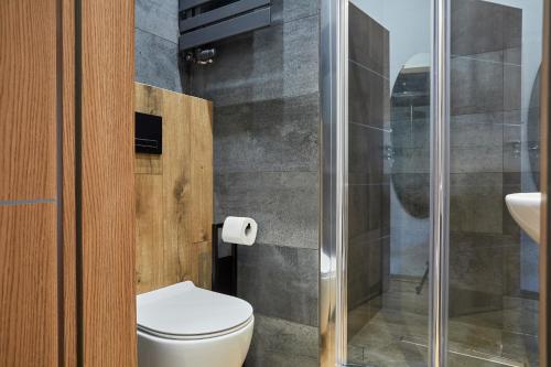 LUXURIOUS APARTMENTS Cracow, Cracovie (photo 4)