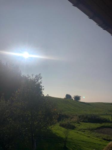 Łapacz Snów II