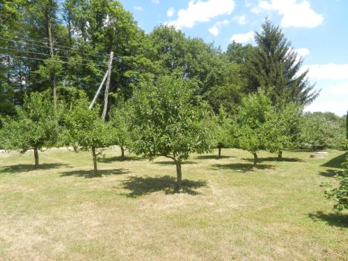 Urlaub für die Seele - Erholung Pur in der Natur - Ferienhaus mit Infrarotkabine & RELAX-Raum