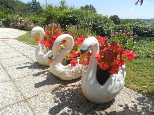 Urlaub für die Seele - Erholung Pur in der Natur - Ferienhaus mit Infrarotkabine & RELAX-Raum