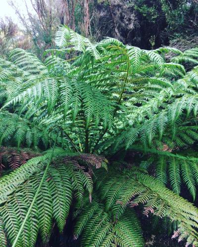 Strahan Wilderness Lodge